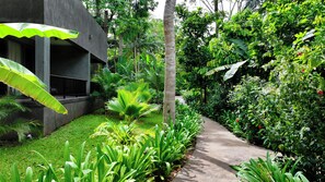 En sti kantet af frodig vegetation og en moderne bygning med en betonfacade.