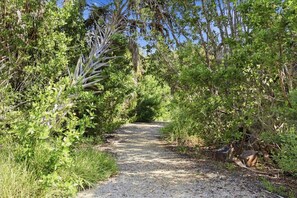 A gravel path surrounded by dense greenery and trees. - Punta Gorda Isles Waterfront Retreat: Private Pool, Hot Tub & Charlotte Harbor Canal Access (Punta Gorda)