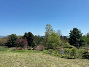 Een grasveld met een bank en bomen, een waterpartij en een heldere lucht.