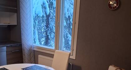 Three bedroom Traditional Lapland House at Wild Forest backyard in Kemi