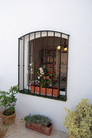 Ein Fenster mit schwarzem, gebogenen Rahmen, ein Blumentopf mit Blüten und ein Bücherregal, das durch das Fenster sichtbar ist.