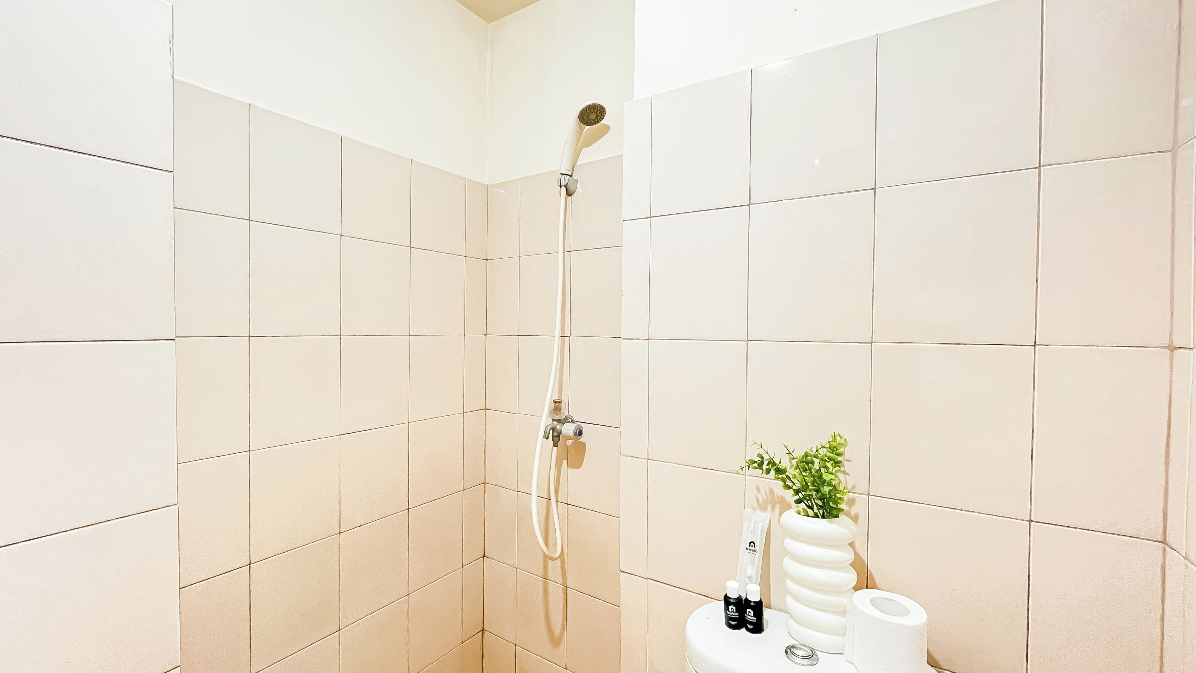 Une douche avec un pommeau de douche amovible, des toilettes avec un porte-rouleau de papier toilette et une plante accrochée au mur.