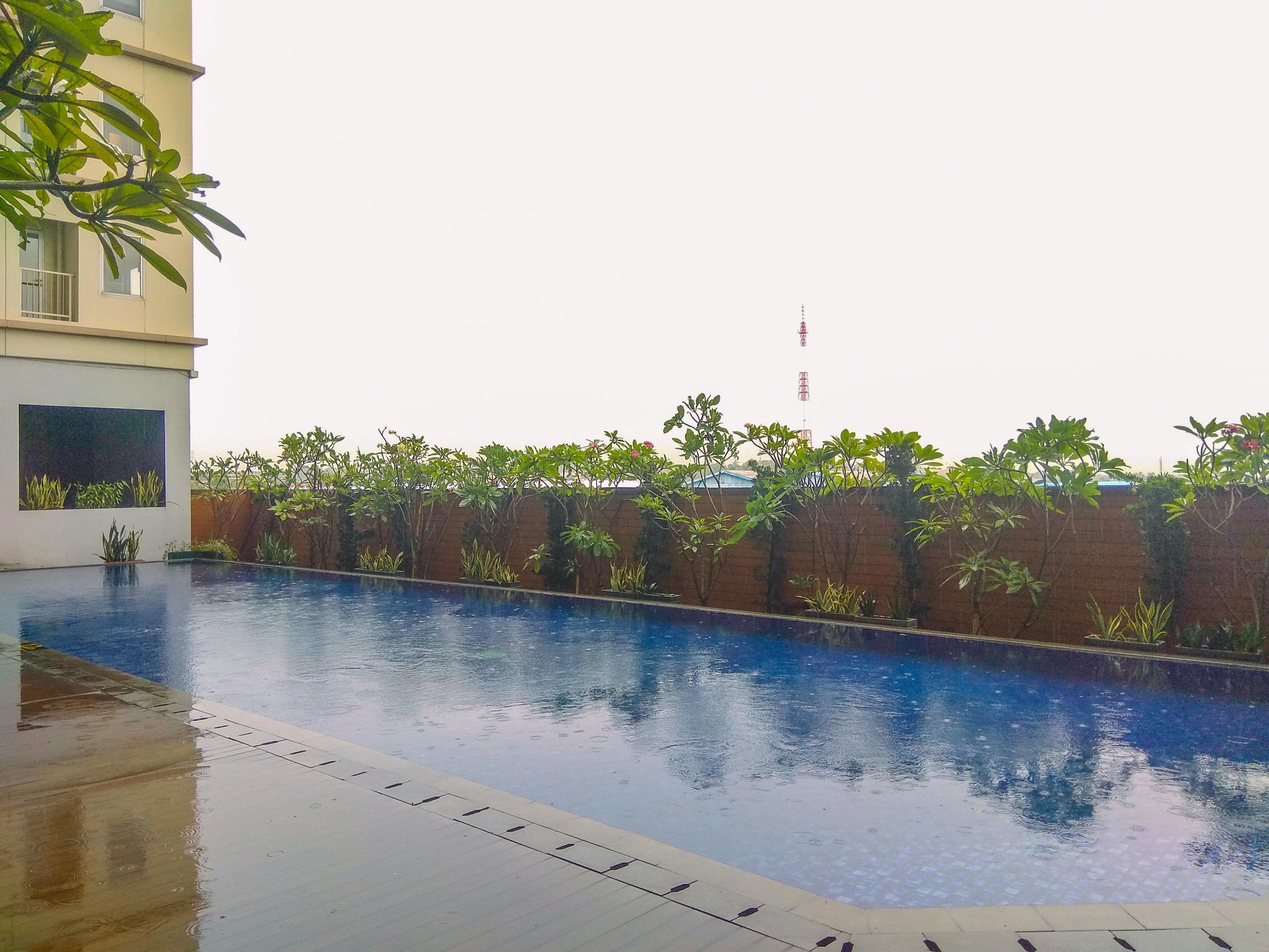 A swimming pool with a tiled edge, surrounded by a brick wall and various plants.