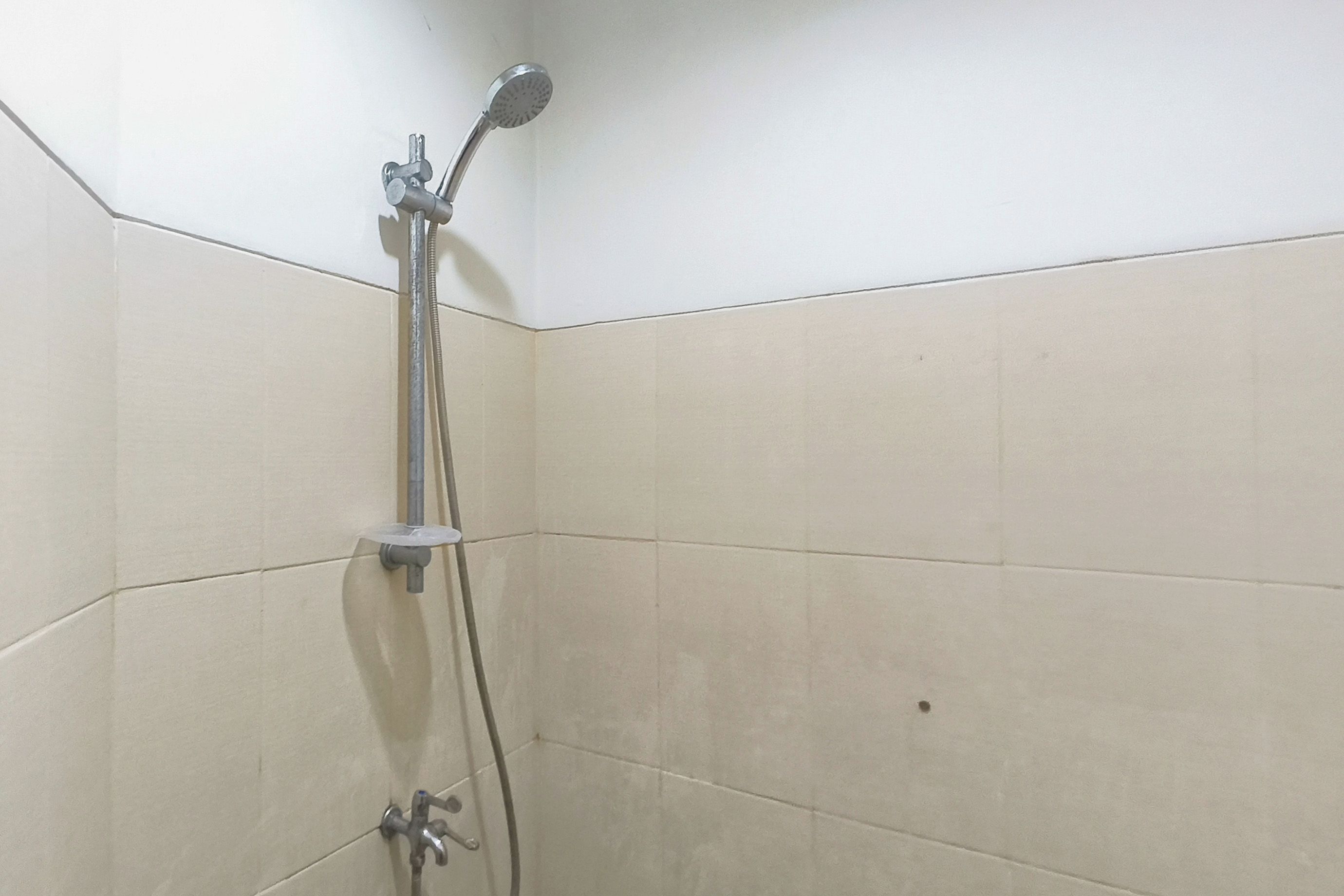 Een douche met een handdouche en een wandmengkraan.