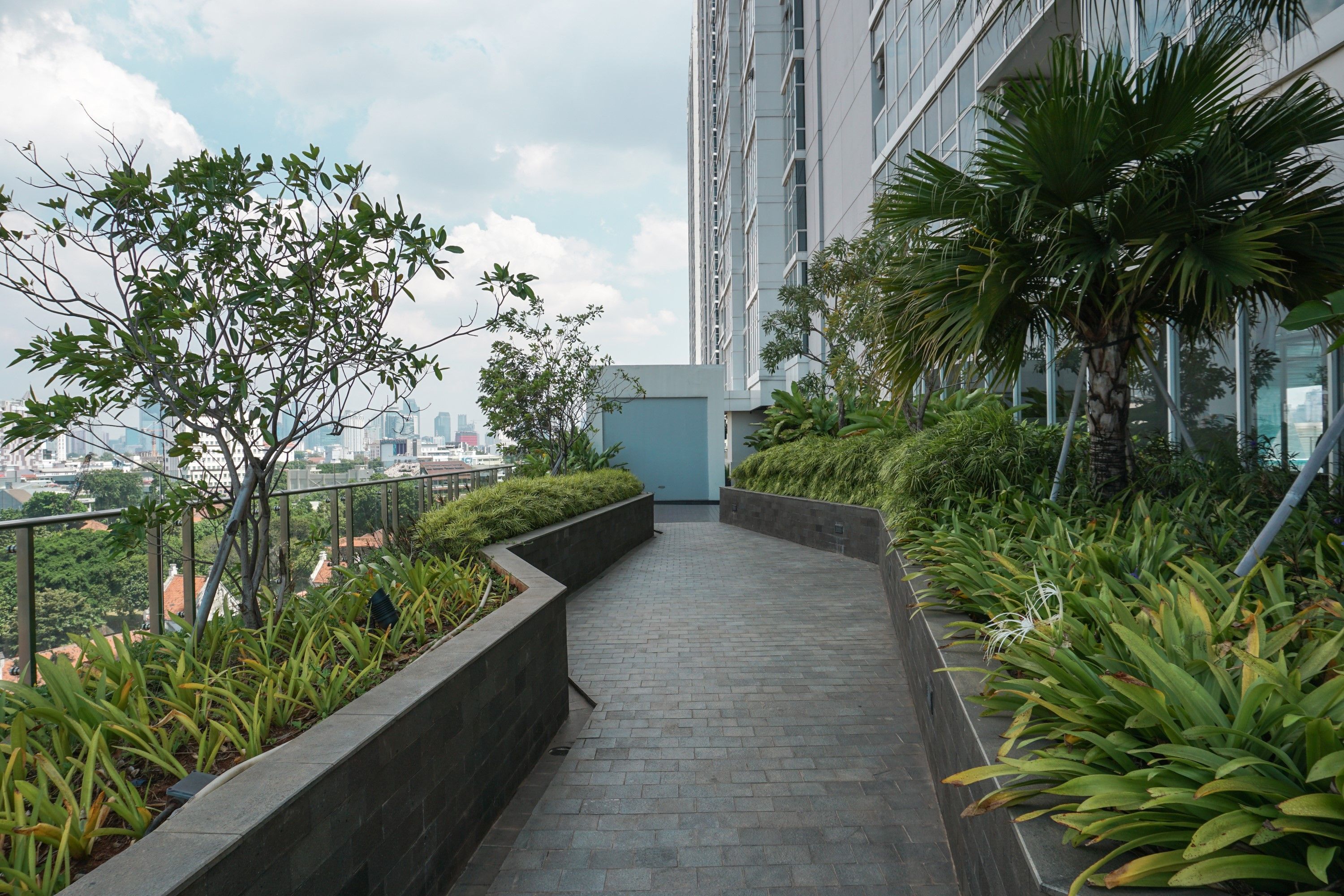 Un jardín en la azotea con un sendero pavimentado, rodeado de plantas diversas y un paisaje urbano al fondo.