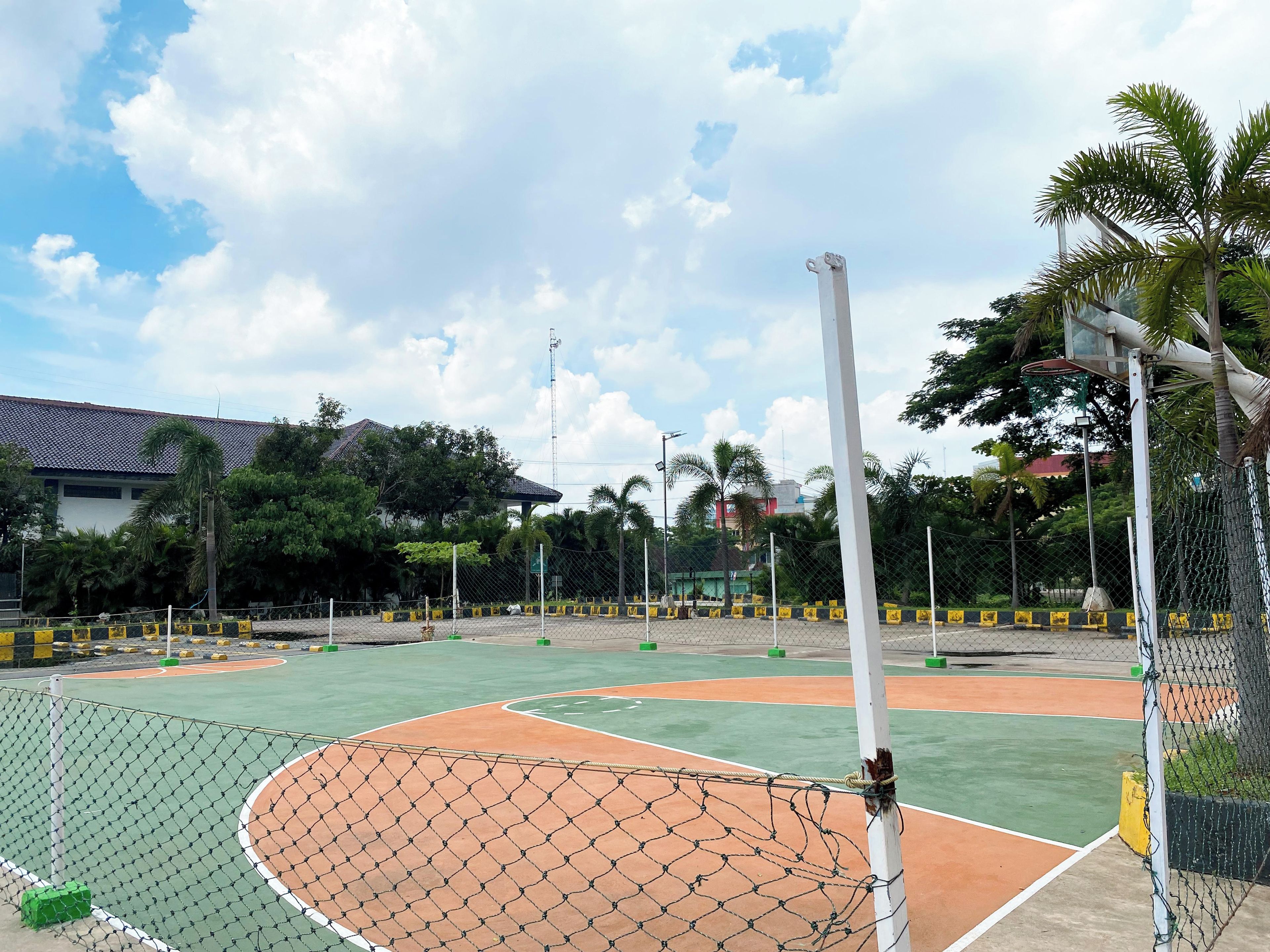 Una cancha deportiva con cerca de malla, aro de baloncesto y palmeras al fondo.