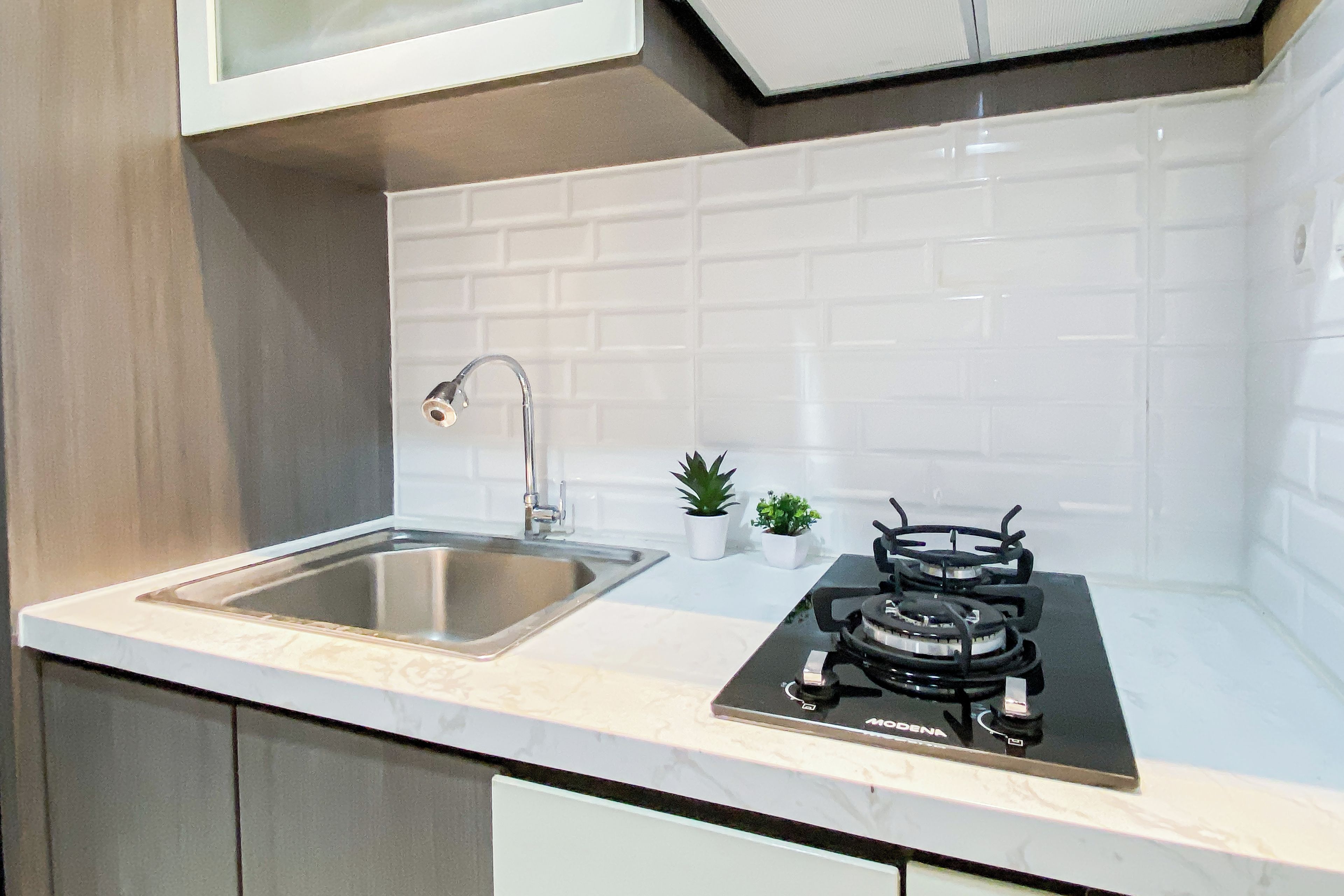 A kitchen with a stainless steel sink, a gas stove, and two potted plants.