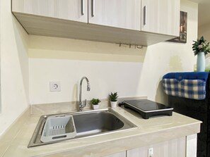 Une cuisine avec un évier en acier inoxydable, une petite plante en pot et un tissu à carreaux bleus et blancs accroché au mur.