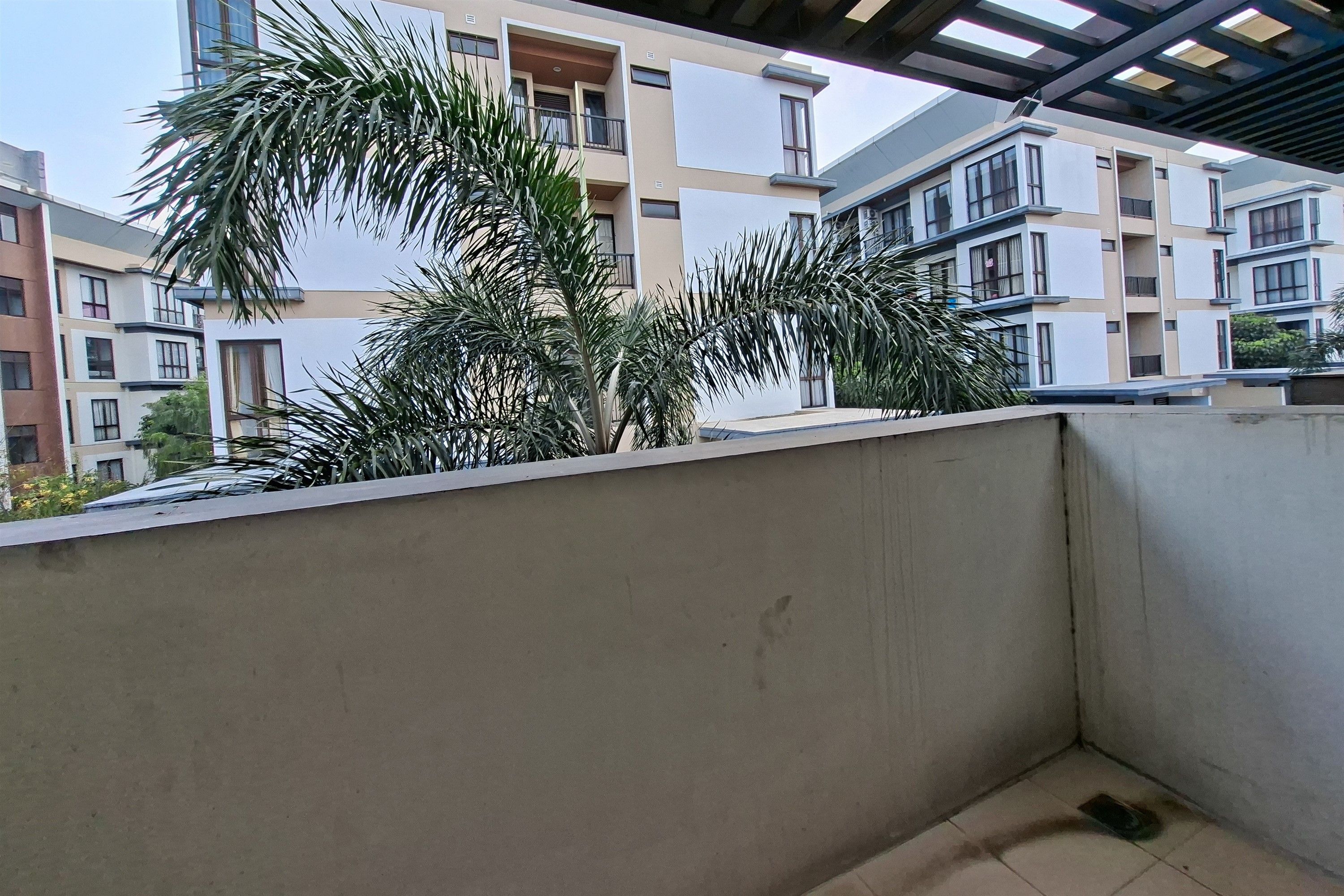 Ein Balkon mit einer Betonwand, einer Palme und einem mehrstöckigen Gebäude im Hintergrund.