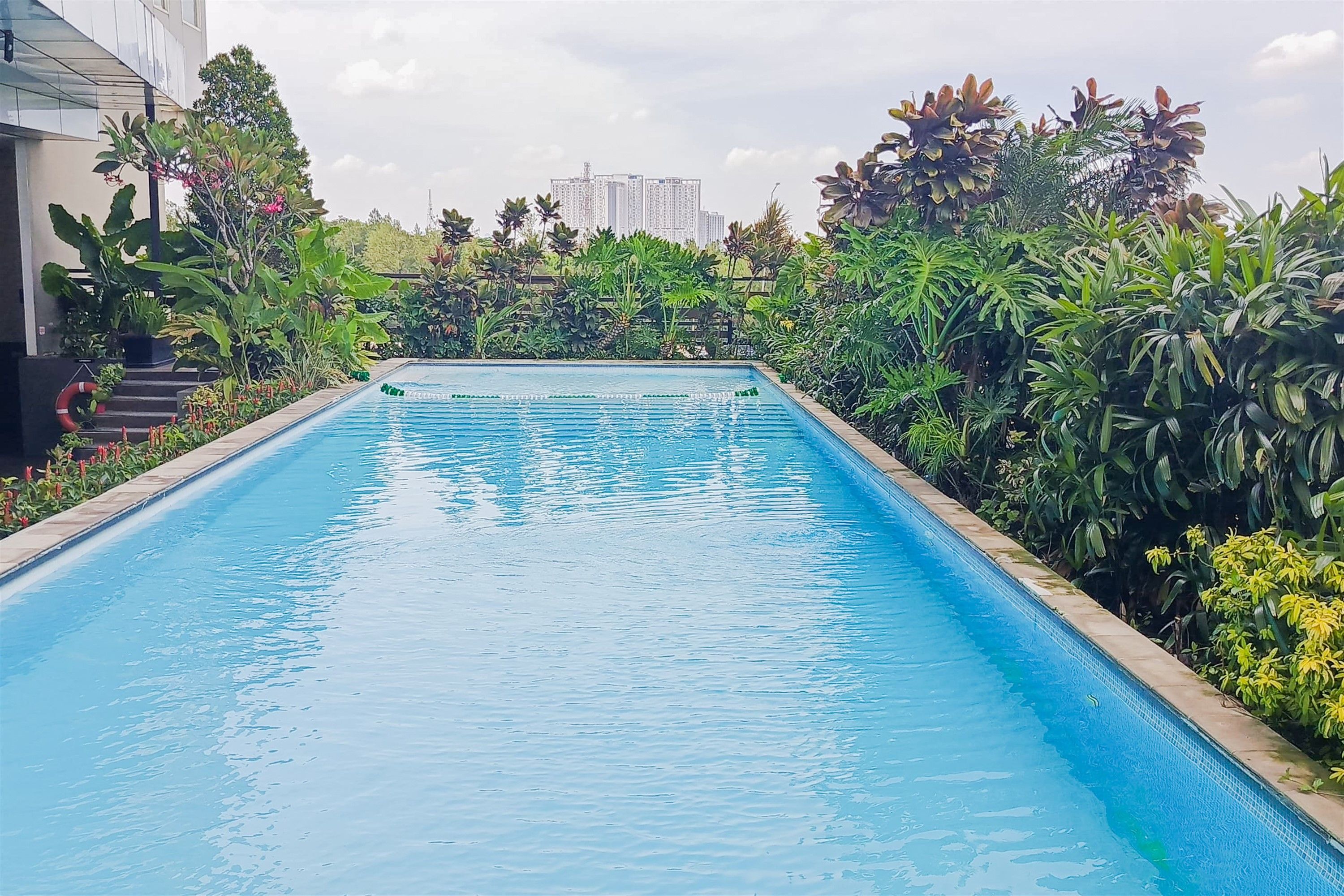 A rectangular swimming pool with clear blue water, surrounded by lush tropical plants and a cityscape in the background.