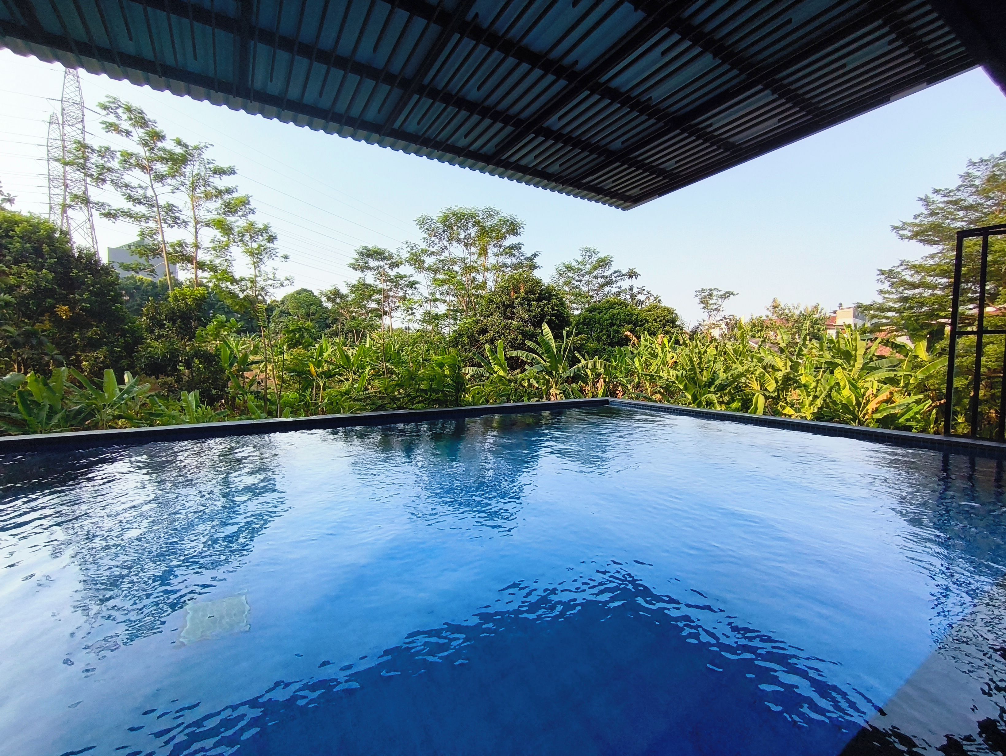 Una piscina con superficie de agua azul cristalina, rodeada de abundante vegetación y árboles.