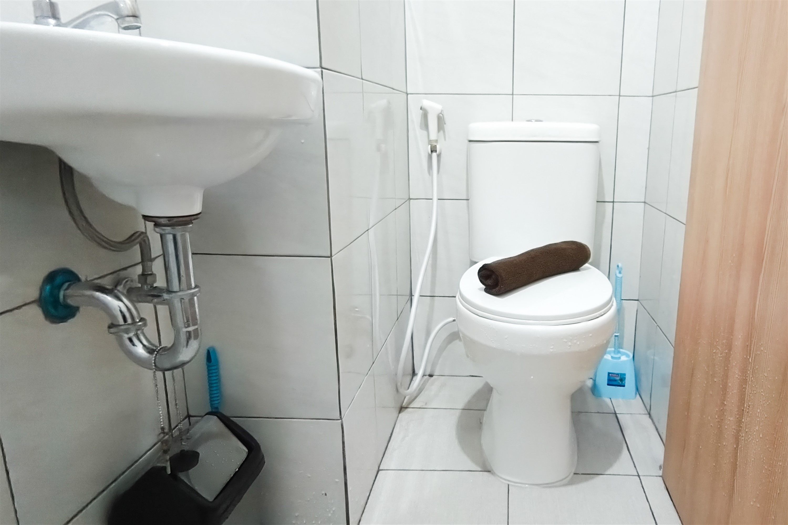 Bany amb un rentapeus blanc, vàter i una ampolla de netejador blau.
