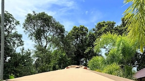 รูปภาพที่ไม่ได้จัดประเภท, 3 จาก 21, ปุ่ม