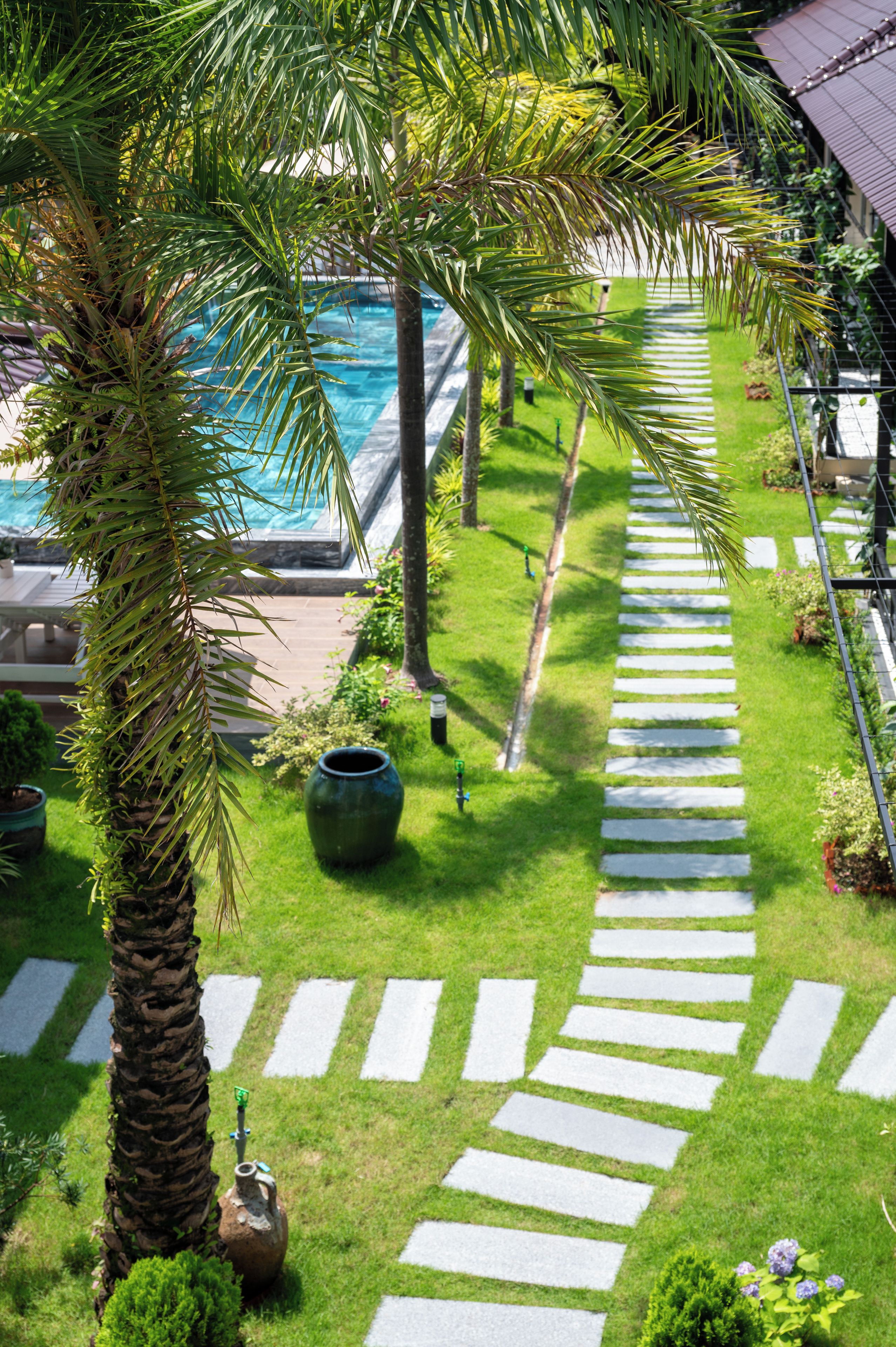A pool area with a clear pathway leading to the pool, surrounded by greenery and palm trees.