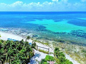 A beach with clear turquoise water, palm trees, and a white sandy shore. - 6 Guests, 2 Suites, 1 Prime Address: 5th Ave, ADO, Beach, Cozumel Ferry 4 Mins (Playa del Carmen)