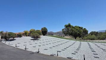 Ein Friedhof mit in Reihen angeordneten Grabsteinen, umgeben von Bäumen und blauem Himmel.