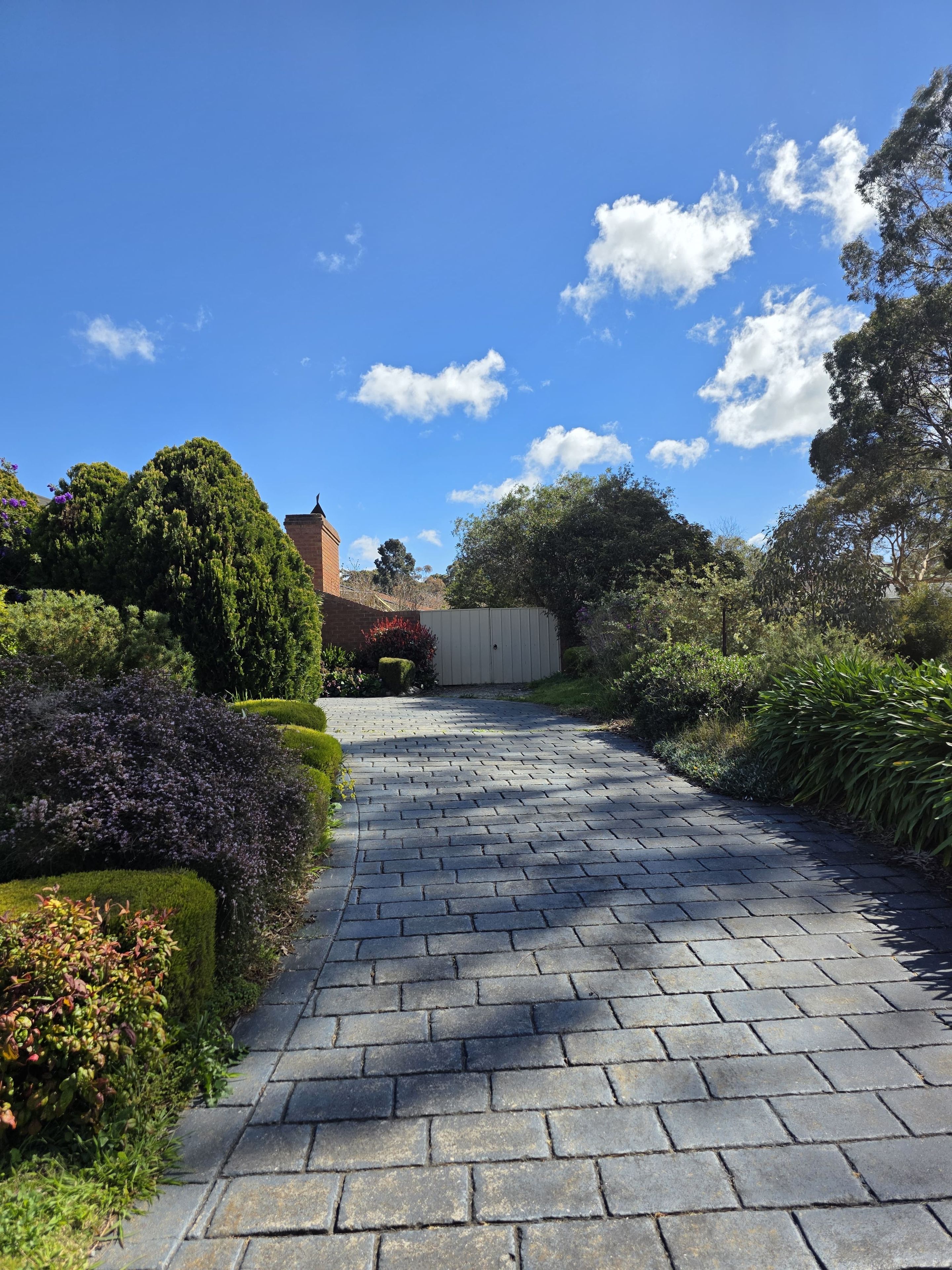 A paved pathway leading through a landscaped garden with various shrubs and trees.