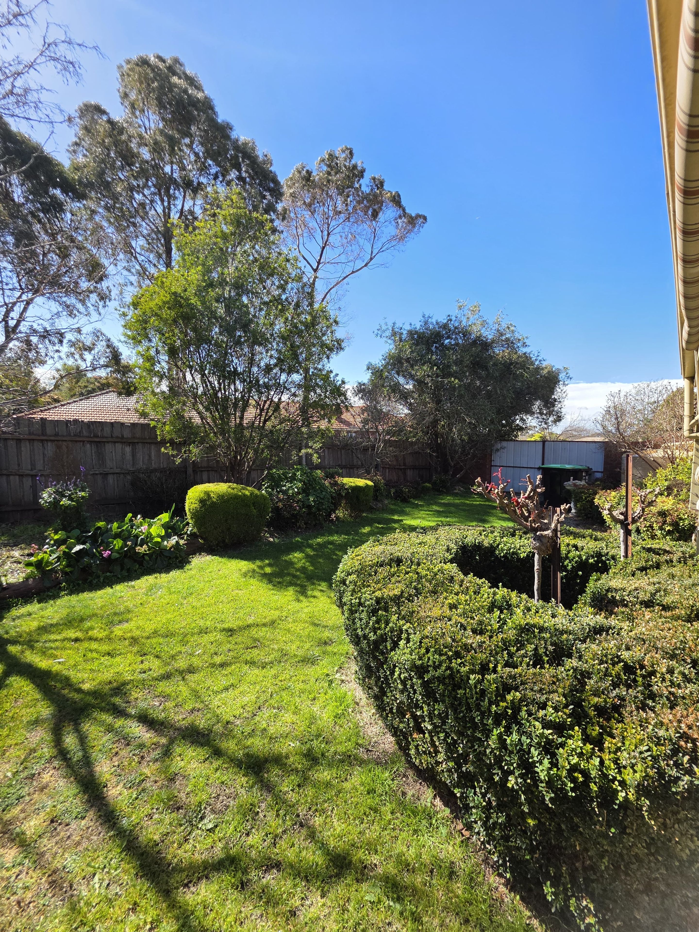 A well-maintained garden with a variety of shrubs and a neatly trimmed lawn.