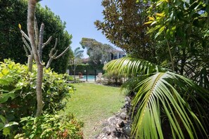 A well-maintained garden with a variety of plants and a clear view of a swimming pool in the background. - Luxe Sunshine Beach House - 30m to Beach! (Sunshine Beach)