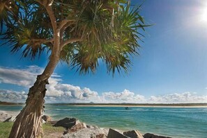Escena de playa con una palmera, cielo despejado y agua tranquila.
