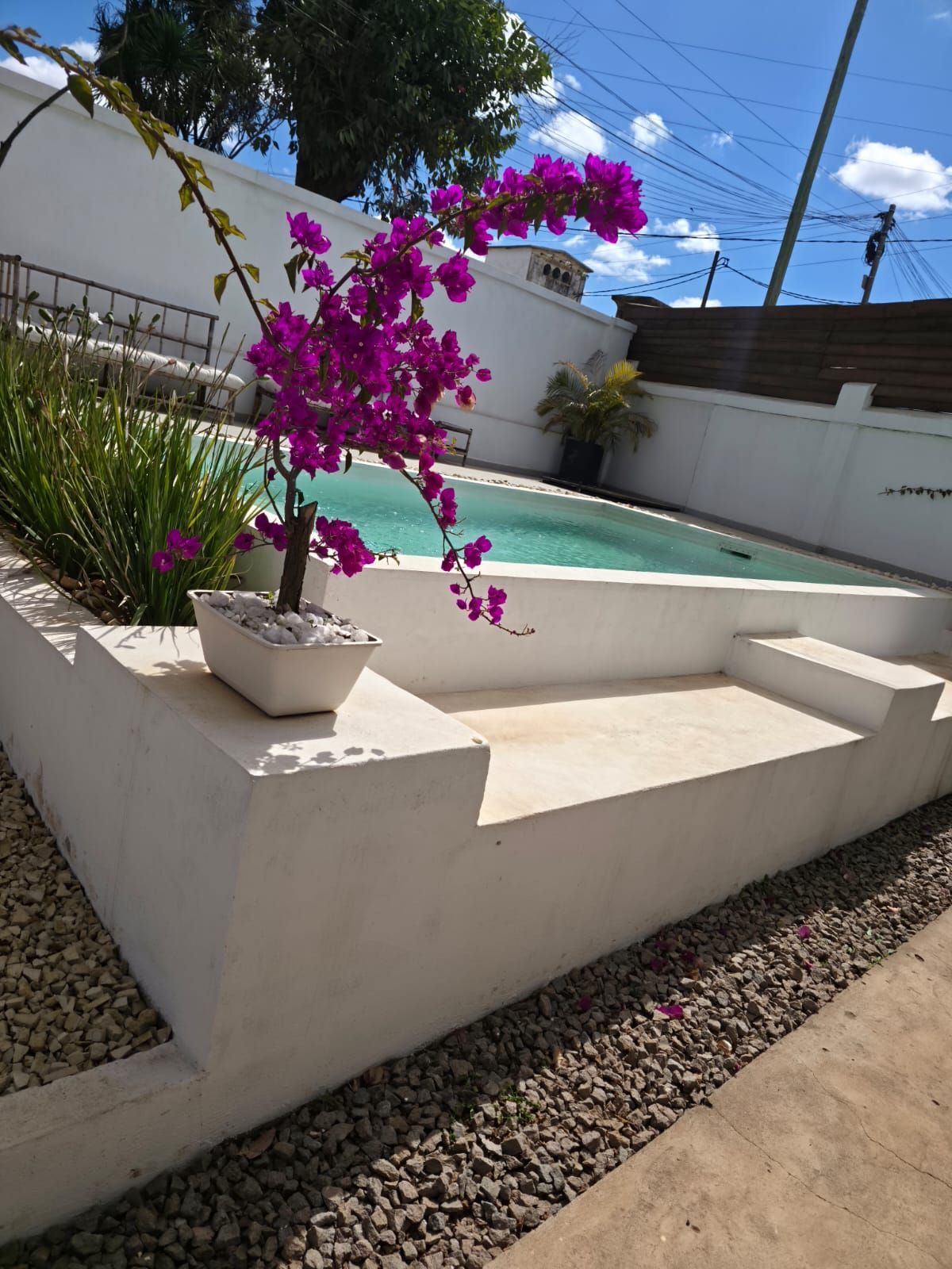 A swimming pool with a white wall and steps leading down to the water.