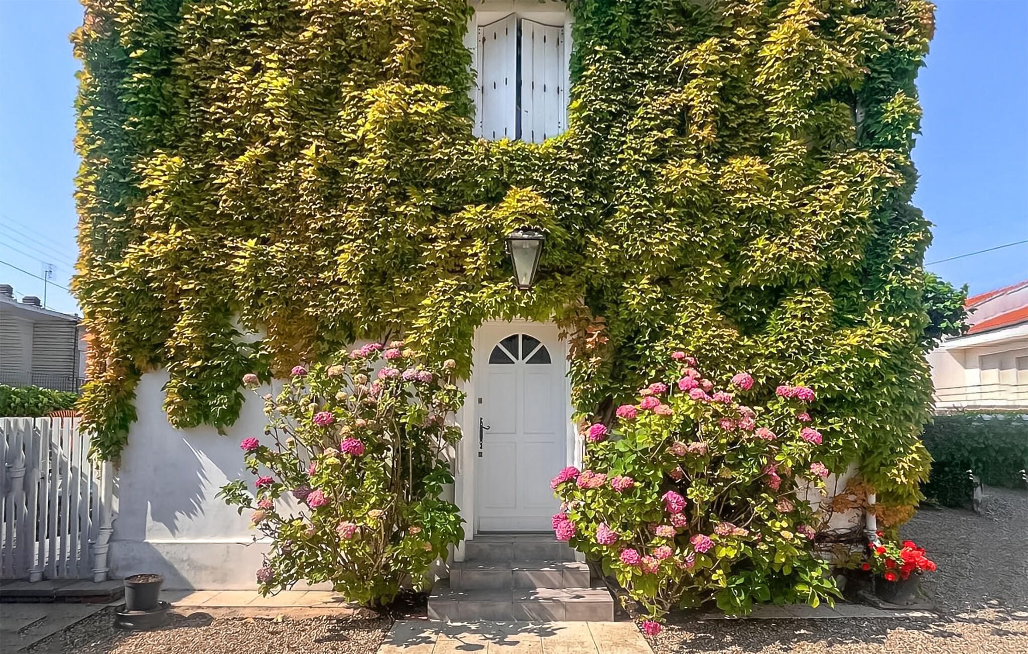 A house with a white door, a small window, and a light fixture above the door. There are two potted plants with pink flowers in front of the door.