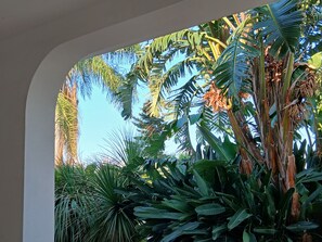 A tropical garden with various plants and a clear blue sky. - Babette's House (Puglia)