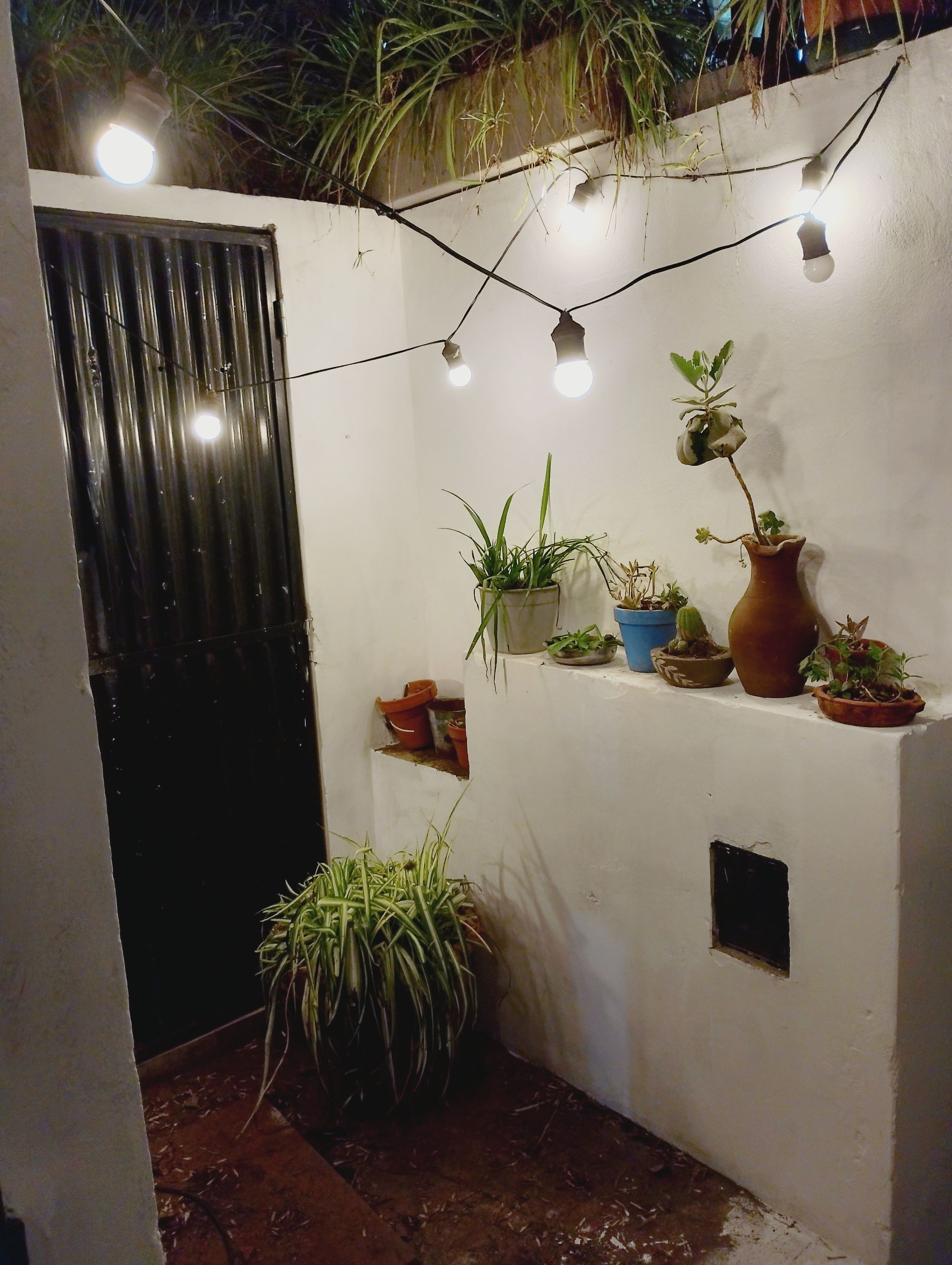 A small, enclosed space with a white wall, a metal door, and several potted plants.