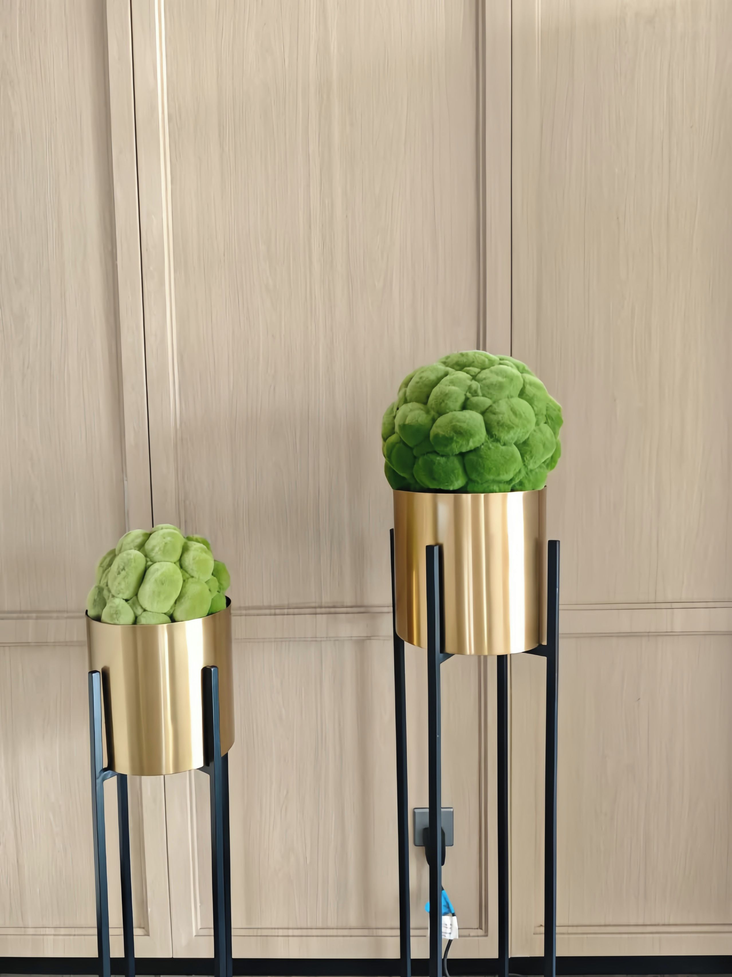 Dos soportes altos color dorado con plantas esféricas verdes frente a una pared de madera.