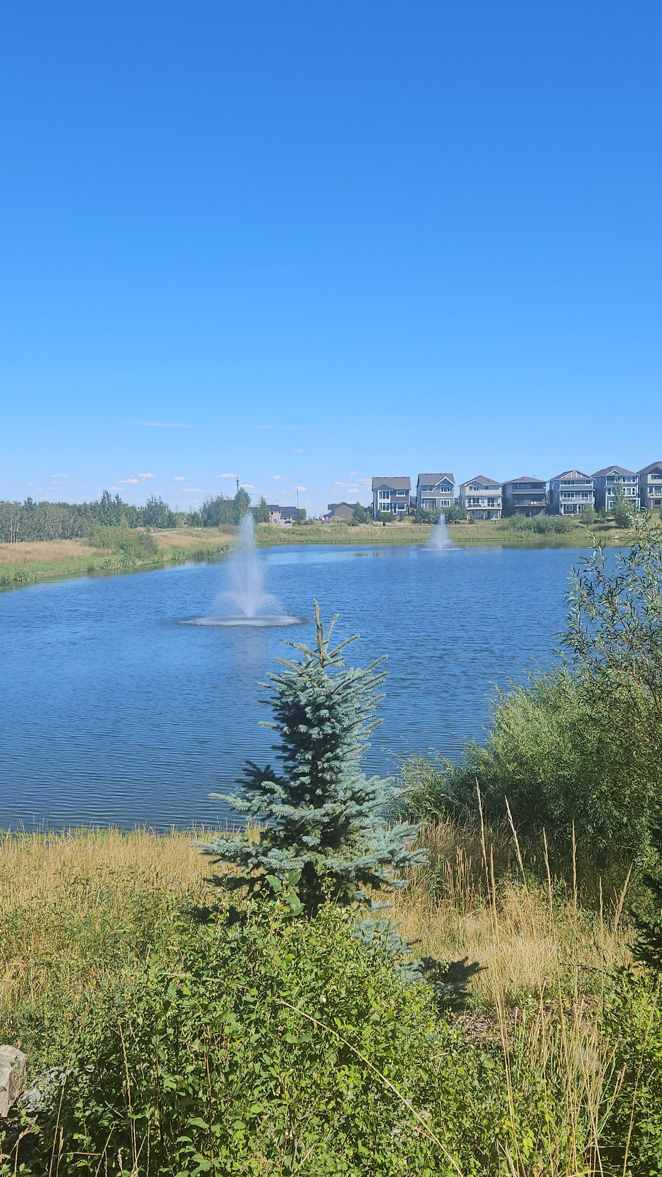 Ein See mit zwei Springbrunnen, umgeben von Grünflächen und Wohnhäusern im Hintergrund.