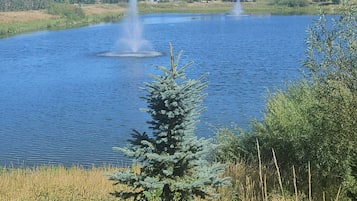 Ein See mit zwei Springbrunnen, umgeben von Grünflächen und Wohnhäusern im Hintergrund.