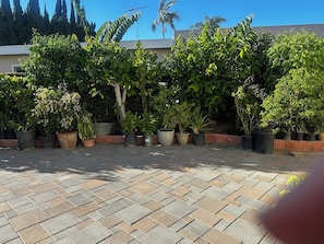 A paved patio area with potted plants and a clear blue sky. - Serene Brand New studio with AC in charming La Palma  (La Palma)