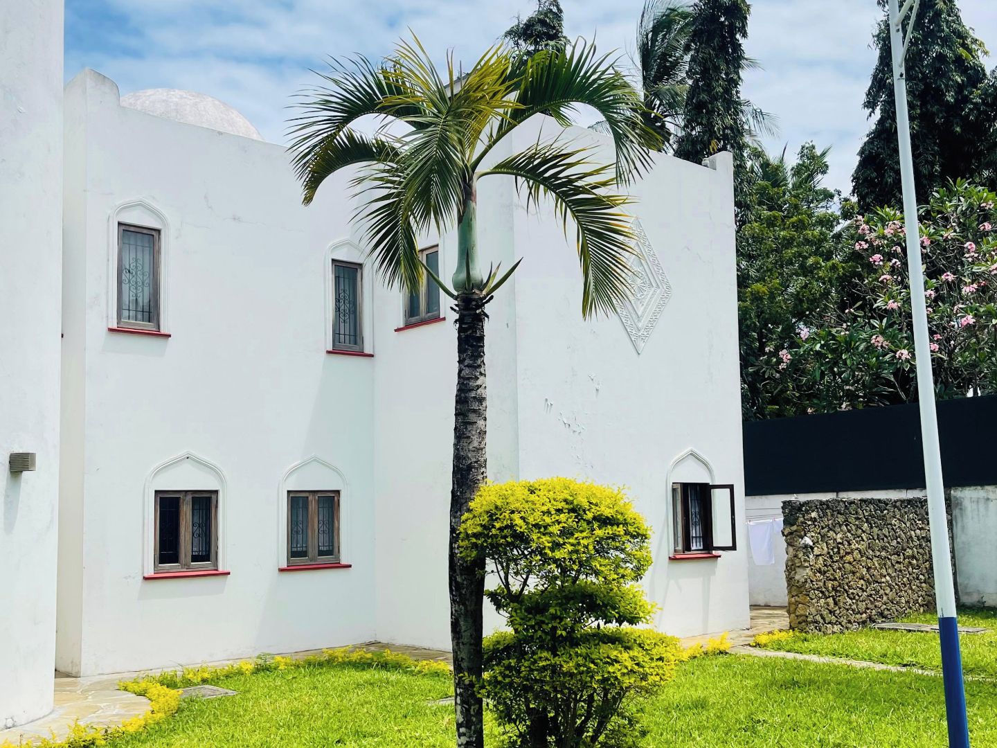 A white building with multiple windows and a palm tree in the foreground.