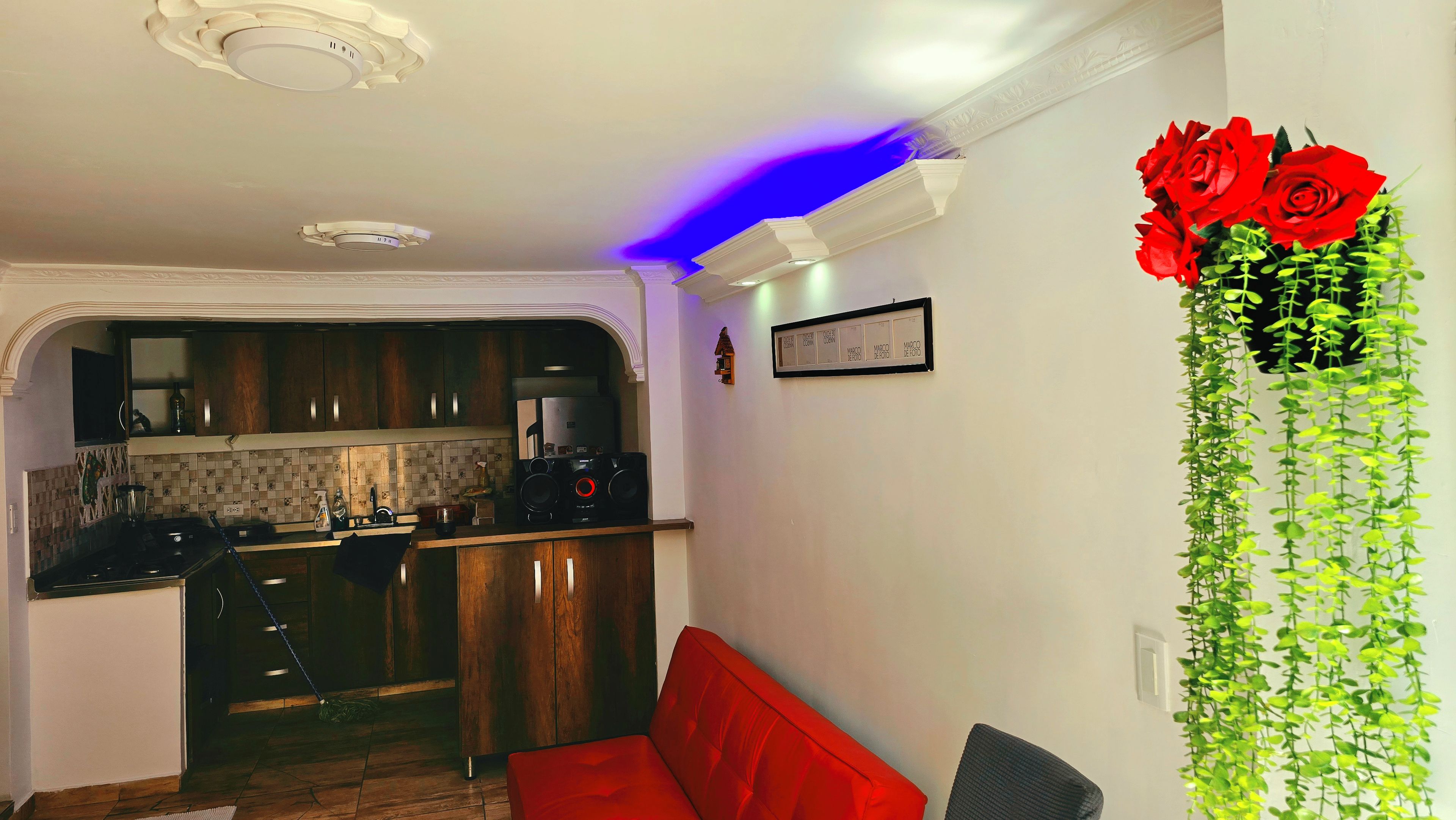 A kitchen with wooden cabinets, a red sofa, and a wall-mounted plant.