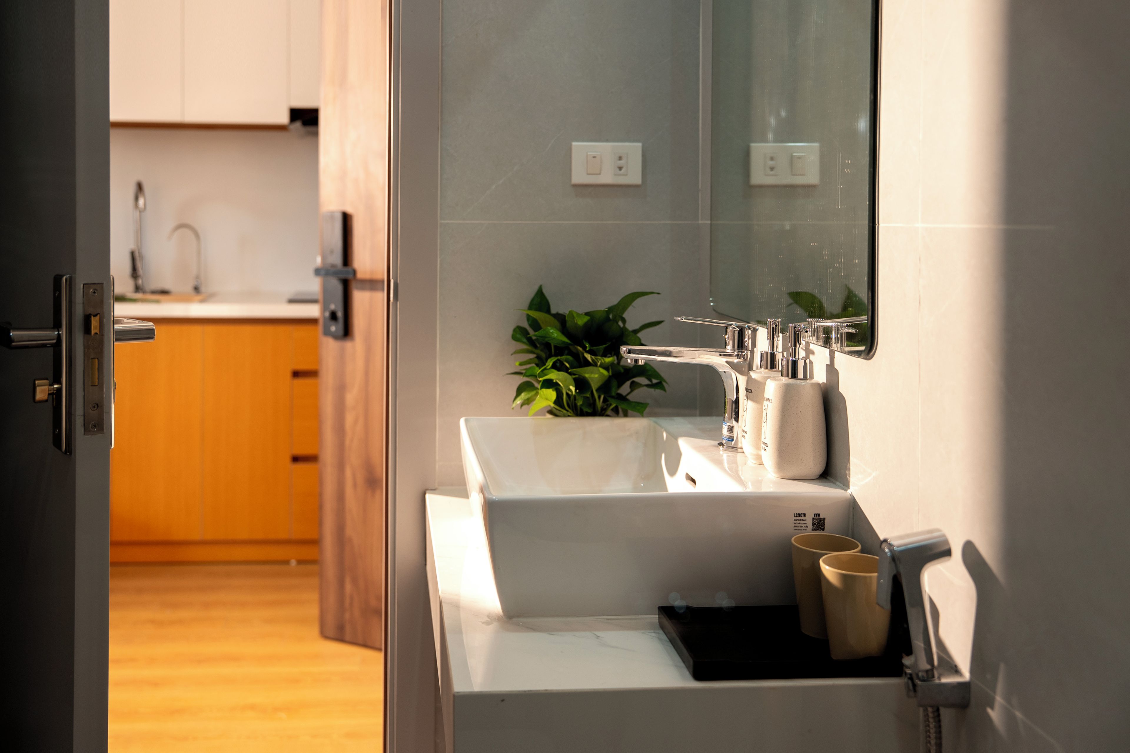 A modern bathroom with a white sink, a mirror, and a plant.