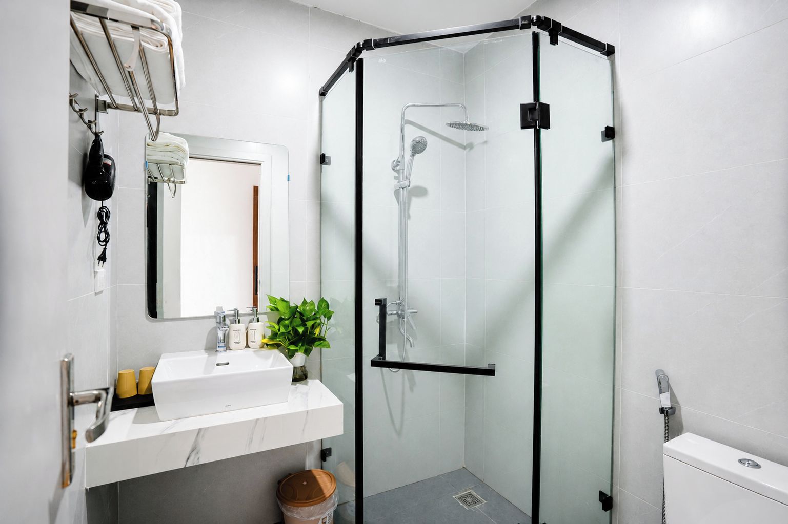 A modern bathroom with a glass-enclosed shower, a white sink with a mirror, and a small plant on the counter.