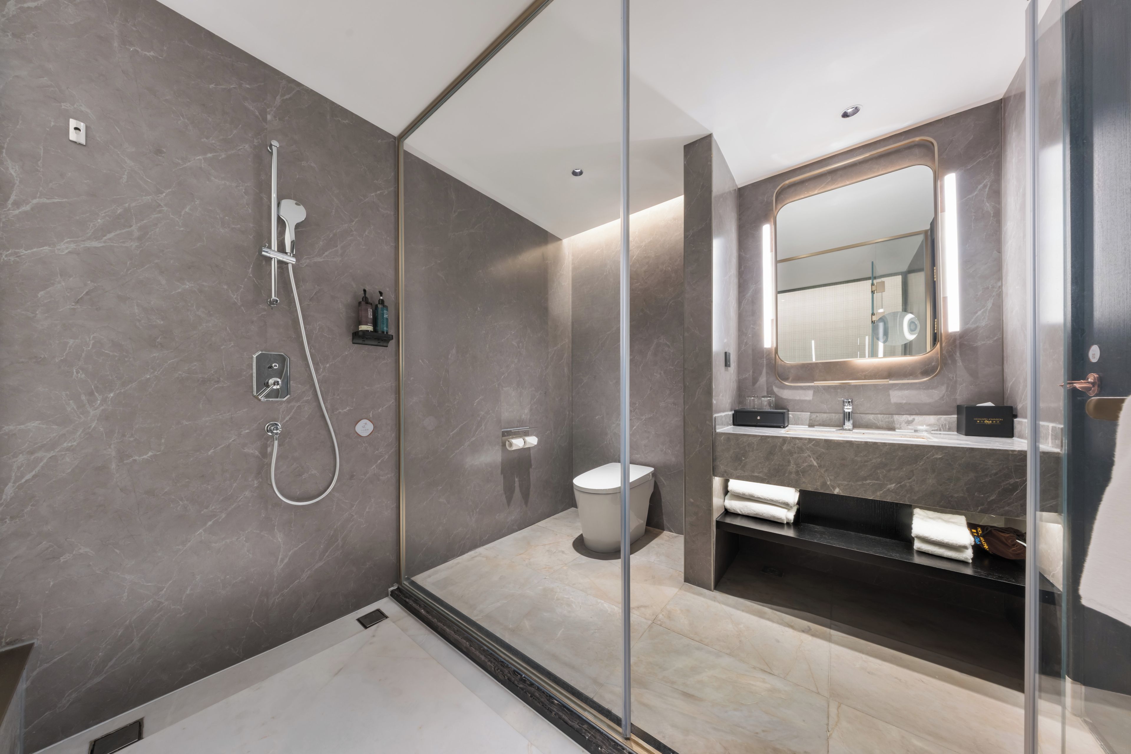 A modern bathroom with a glass-enclosed shower, a toilet, and a vanity with a mirror.