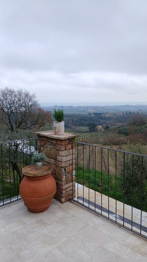 Un balcon agrémenté d’un jardinier en pierre et d’une rambarde en métal, donnant sur un vignoble.