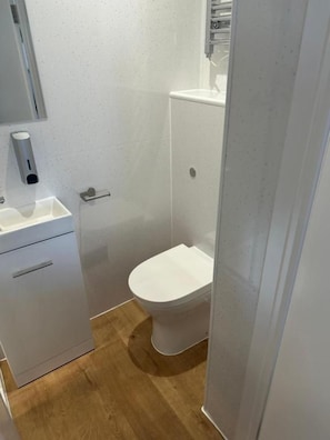 A small bathroom with a white toilet, a sink, and a mirror.