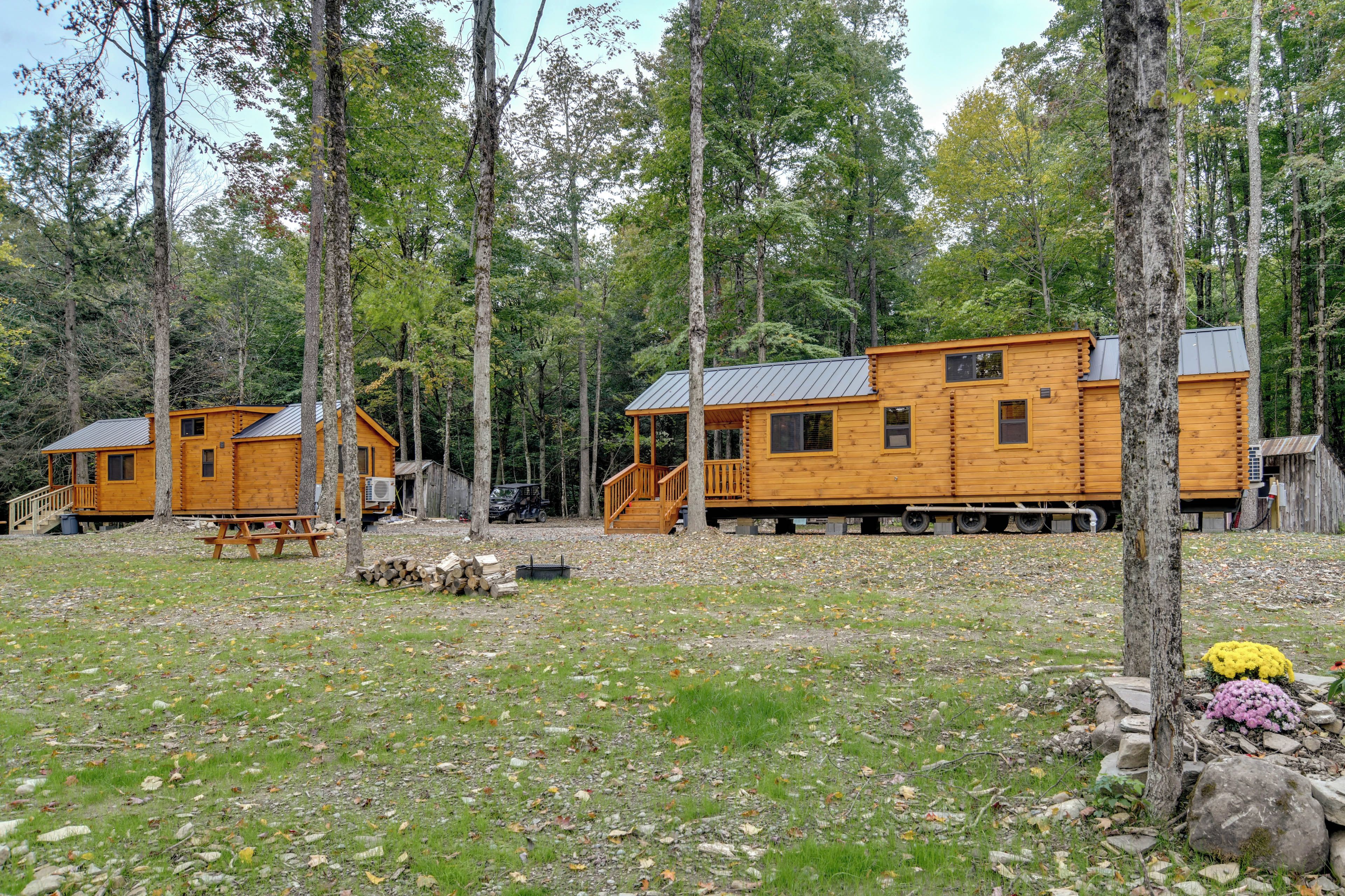 Un ensemble de chalets en bois, comprenant plusieurs chalets, une table de pique-nique et une terrasse couverte.