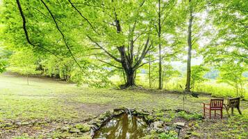 A natural landscape with a pond, rocks, and a wooden chair.