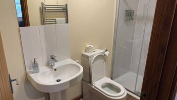 A bathroom with a white sink, toilet, and glass shower enclosure.