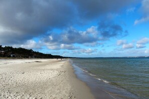 Ein Strand mit sandigem Ufer und freiem Blick auf den Ozean.