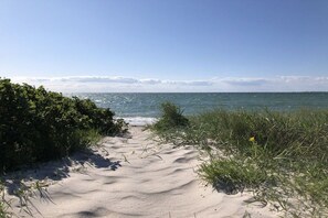A sandy beach path leading to the ocean with dense vegetation on either side. - Strandhaus Strandgut new 2017 (Großenbrode)
