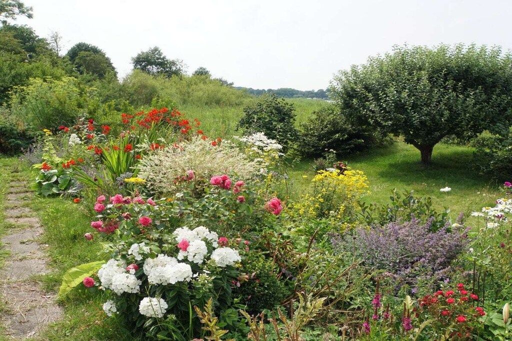 Ein Garten mit verschiedenen Blumen und einem Baum.