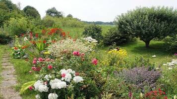 Ein Garten mit verschiedenen Blumen und einem Baum.