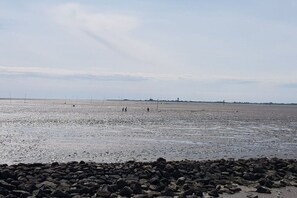 A beach with rocky foreground and distant shoreline. - Holiday apartment with 1 bedroom (Hattstedt)
