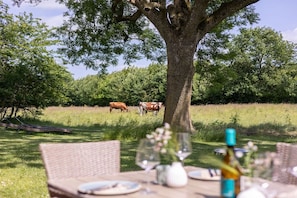 Ein Esstisch draußen mit Baum und Kühen im Hintergrund.