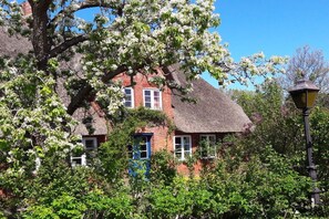 Ein traditionelles Haus mit Strohdach, umgeben von üppiger Vegetation und blühenden Bäumen.