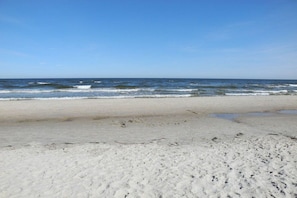 Una spiaggia con una battigia sabbiosa e onde oceaniche.
